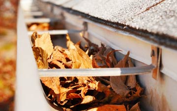 Lever Edge gutter cleaning companies