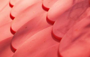 Lever Edge plastic roof costs