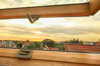 rated Lever Edge roof window companies